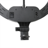 ARO DE LUZ AL33 - Thumbnail Image 2